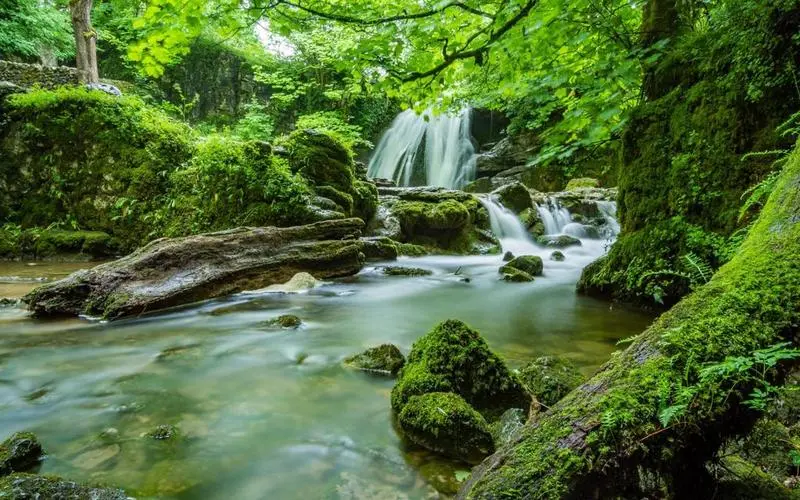 网络化智慧先进